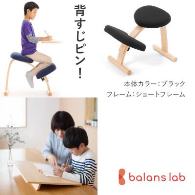 ふるさと納税 美濃市 バランスイージー ショート[ブラック]+イージーライティングボードM【複数個口で配送】