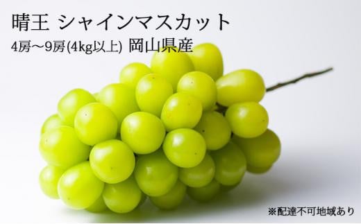 
ぶどう［2024年先行予約］晴王 シャインマスカット 4房～9房（4kg以上）岡山県産 [No.5220-1171]
