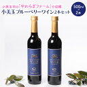 【ふるさと納税】小美玉ブルーベリーワイン2本セット ブルーベリー ワイン ブルーベリーワイン フルーツ 果物 ビタミンE アントシアニン 栄養 目にいい 健康 美容 ギフト 贈り物 茨城県産 プレゼント セット お酒 美味しい お祝い 9－F