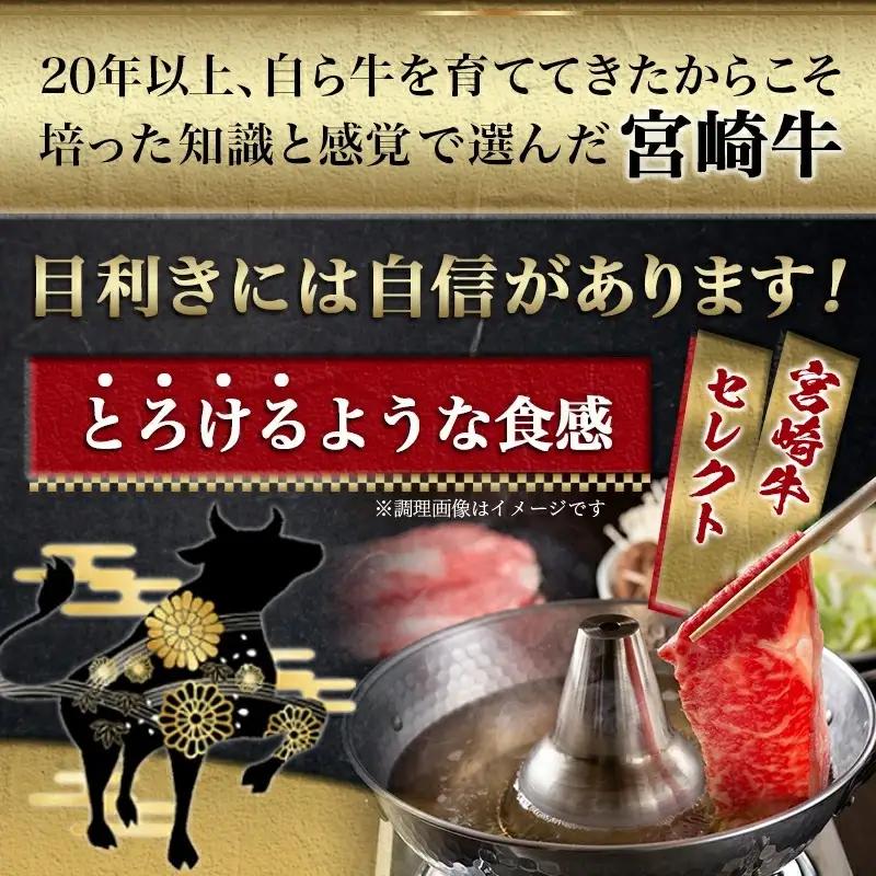 宮崎牛【とろ旨】すきしゃぶ500g〔17-6503〕_(都城市) 国産ブランド牛宮崎牛の牛肉 A4ランク 4等級 黒毛和牛 すき焼き用 牛鍋用に 柔らかい肉質の霜降り牛肉 肉の旨味 スキヤキ ギフト 
