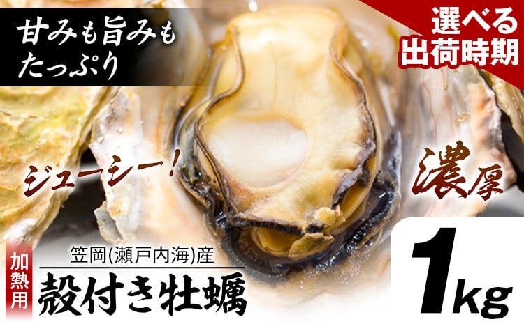 
                  牡蠣事業者応援！ 笠岡産 (瀬戸内海産) 殻付き牡蠣 (加熱用) 1kg《出荷時期が選べる》2月 3月 岡山県 笠岡市 かき カキ 牡蠣 生牡蠣 瀬戸内海産 殻付き
                