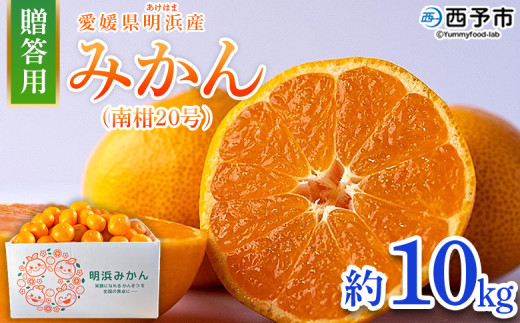 ＜みかん（南柑20号）贈答用 約10kg＞ 果物 くだもの フルーツ ミカン 柑橘 なんかん20ごう ナンカン20ゴウ 温州みかん うんしゅうみかん 贈答 ギフト プレゼント 特産品 株式会社笑丸 愛媛県 西予市【常温】