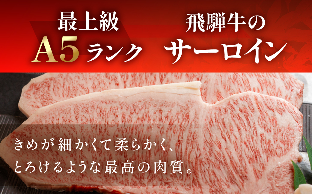 【冷凍】飛騨牛ヒレ・サーロインステーキセット 【ヒレ 約420g(3枚) / サーロイン 約380g(2枚)】【11-45】