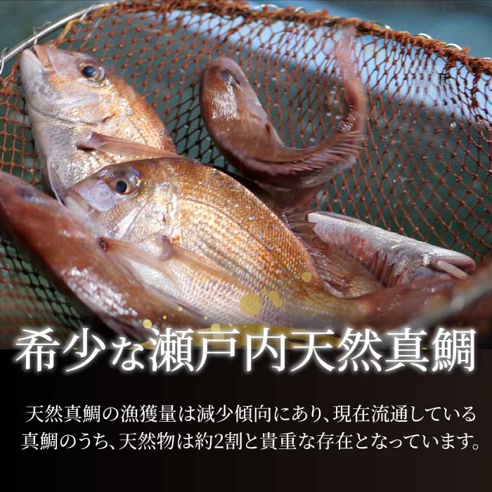 【12か月定期便】瀬戸内産 鮮魚 地魚詰め合わせ（3～5種類）計12回お届け 瀬戸内の天然鯛入り/ 地魚 鯛 天然鯛 真鯛 天然 鮮魚 下処理済 瀬戸内 広島県 三原市　154011