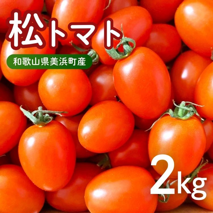 【ふるさと納税】美浜町産　松トマト（アイコ）2Kg ｜ミニトマト とまと 野菜 糖度 和歌山 先行予約 やさい トマト アイコ 国産 旬の野菜 特産品 人気 産地直送 美浜町 ※2025年11月下旬～2026年6月上旬頃に順次発送予定