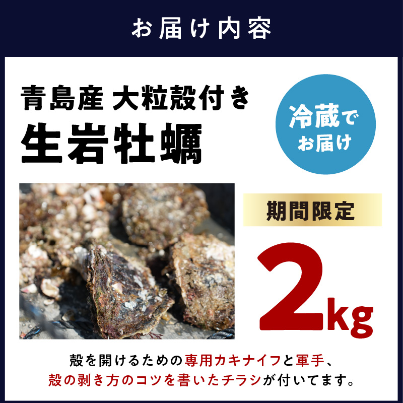 【期間限定】青島産 大粒殻付き生岩ガキ 2kg【B5-082】カキ 牡蠣 岩ガキ 青島産 国産 期間限定 お取り寄せ