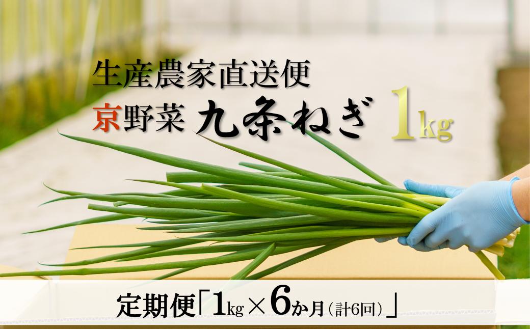 
【6か月定期便】生産農家直送　京野菜・九条ねぎ １kg×6回 〈定期便 ねぎ ネギ 葱 九条ねぎ 京野菜 京都 新鮮 甘い 農家直送 野菜〉S1101×6
