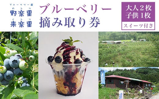 ブルーベリー園のらりくらり摘み取り券（大人２枚・子供１枚）スイーツ（１名様分） ふるさと納税 ブルーベリー 摘み取り体験 体験 摘み取り券 チケット 無農薬 木更津 千葉県 送料無料 KCA005