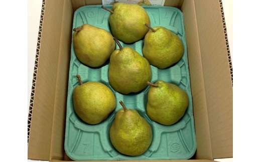 西洋梨（ラ・フランス）６ｋｇ　大玉　ご家庭用　0009-2613