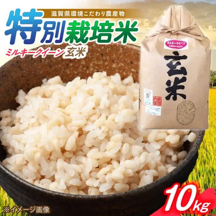 低農薬栽培 ミルキークイーン 玄米10kg[AQBL021] ミルキークイーン