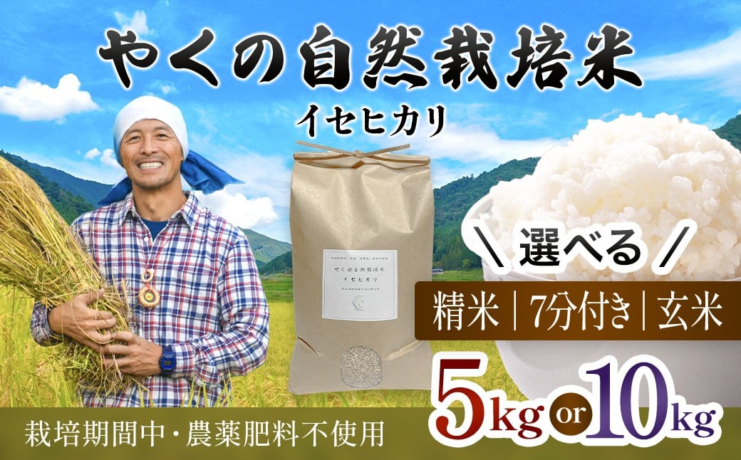 
                  令和8年産先行予約 やくの自然栽培米 イセヒカリ （選べる精米方法・内容量：玄米・7分づき・白米 / 5kg・10kg ）  / 自然栽培米 自然栽培 こめ コメ 米 玄米 7分づき 白米 精米 イセヒカリ いせひかり お米 ごはん やくの 夜久野 京都府 福知山市 FCEV003-v
                