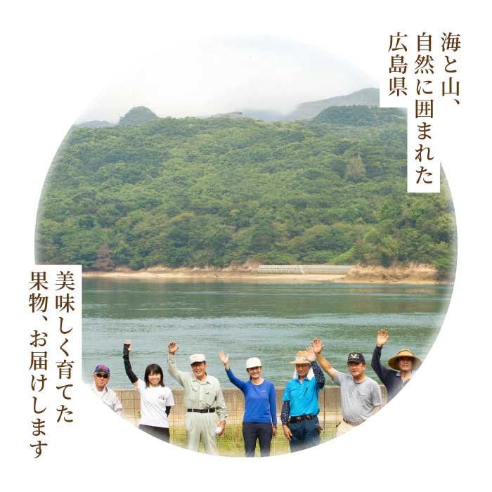 ひろしま フルーツ定期便 ～ 桃 シャインマスカット ～ 《全2回定期便》数量限定☆先行受付 フルーツ 果物 くだもの 産地直送 ぶどう ブドウ もも 三原・世羅共通返礼品 広島 T14