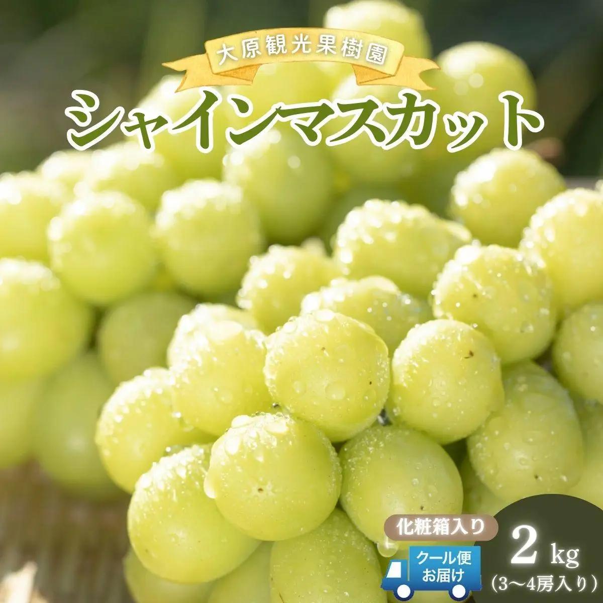 【2026年先行予約】［大原観光果樹園］シャインマスカット 3～4房（約2kg）化粧箱入り【026-a015】