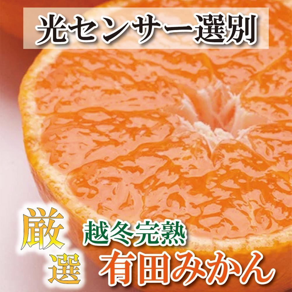 
＜2025年1月より発送＞厳選 越冬完熟みかん2kg+60g（傷み補償分）ハウスみかん
