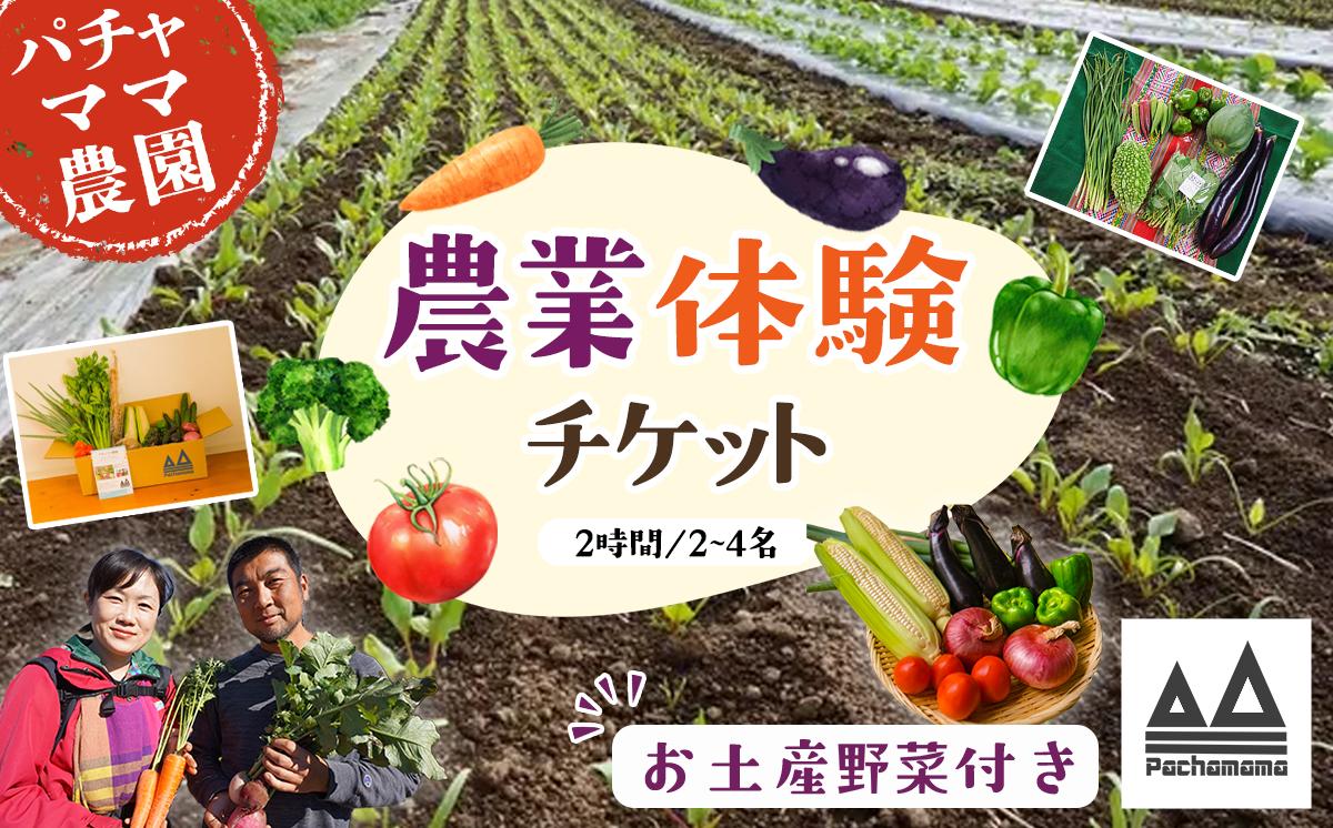 
                  農業体験チケット（2時間／2名～4名）+お土産野菜付き 1枚【 農業体験 体験 野菜 農作業 家族 親子 畑 お土産 】 
                