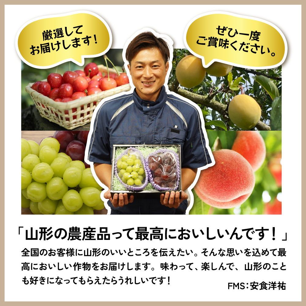 【2026年産 秋果実 お手頃定期便（全2回）】 ラフランス・サンふじりんご 各約2kg 山形県 東根市 FMS提供 hi074-024-r8