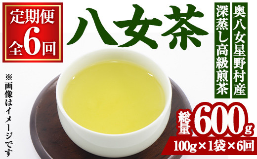 
＜定期便・全6回(連続)＞奥八女星野村 深蒸し高級煎茶(総量600g・100g×1袋×6回) 八女茶 緑茶 せん茶 おちゃ お茶 やめ 深蒸し茶 常温 常温保存【ksg1346】【おどろきっちん】
