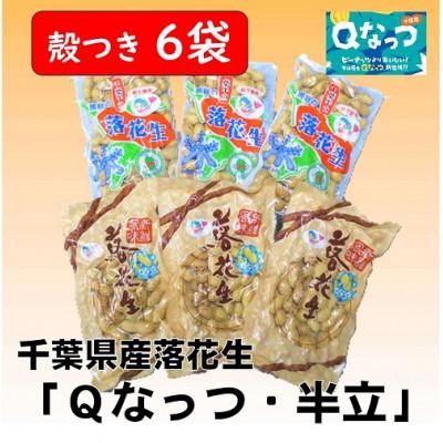 ふるさと納税 大網白里市 千葉県産落花生「千葉半立・Qナッツ」殻つき6袋セット(総容量675g【120g×3・105g×3】)