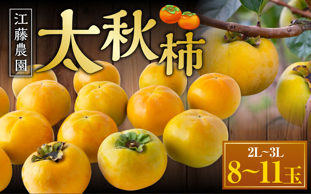 
            【先行予約】 江藤農園 太秋柿 （2Lから3L） 8玉から11玉 【2026年10月下旬から11月上旬 出荷予定】 柿 かき カキ 太秋 たいしゅう 完全甘柿 果物 くだもの フルーツ 果実 ジューシー お取り寄せ 福岡県 うきは市
          