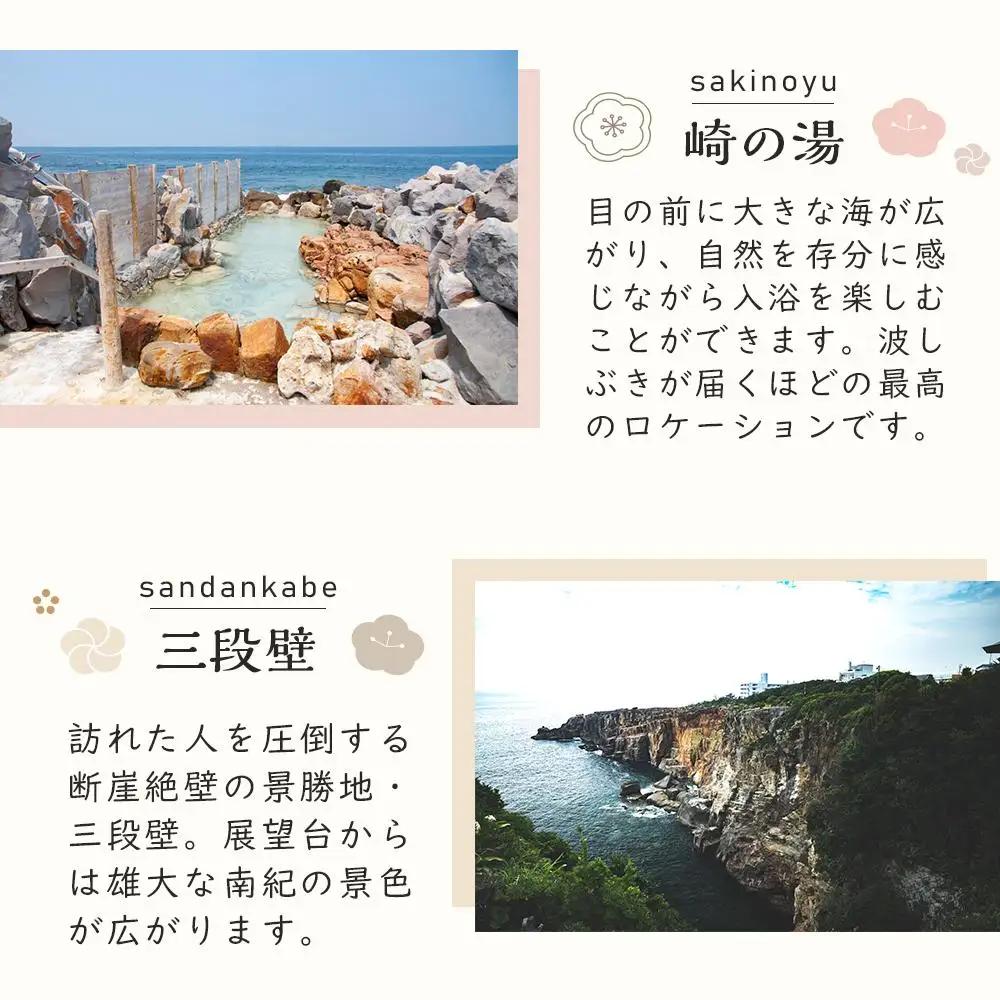 【白浜町、那智勝浦町、上富田町】JTBふるさと旅行券（90,000円分）有効期間5年 | 予約 宿泊 観光 体験 温泉 ホテル 旅館 チケット 子供 子連れ カップル 家族 店頭 電話 白浜