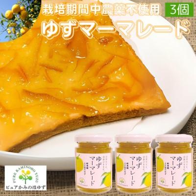 ふるさと納税 関市 「ゆずの里上之保」 ゆずマーマレード　3個 〜栽培期間中農薬不使用の上之保産柚子を使用 自家栽培
