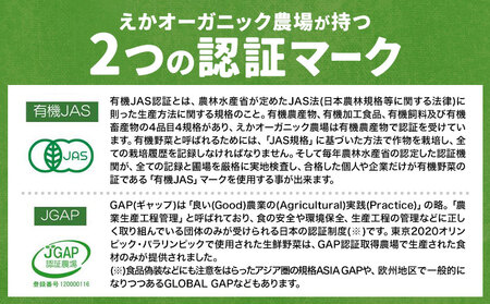 えか野菜 おまかせ5～7種セット 有機JAS認定 株式会社えか自然農場《30日以内に出荷予定(土日祝除く)》千葉県 流山市 オーガニック 無農薬 化学肥料不使用 旬 送料無料