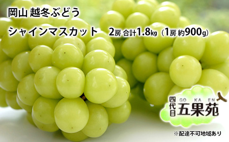  ぶどう 越冬ぶどう シャインマスカット 2房 合計1.8kg（1房 約900g）岡山