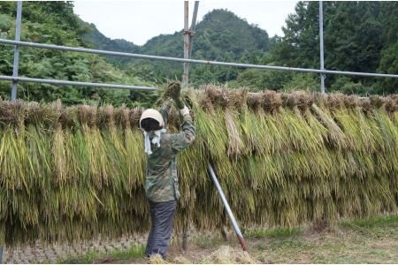 黒米 雑穀 新潟県産 阿賀 古代米 黒米 200g × 5袋 セット 送料無料