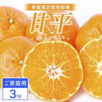【ご家庭用】甘平 3kg 愛媛県 八幡浜産 西宇和地区 扁平で濃い味 新食感【D25-312】【1713688】 YWTAP253