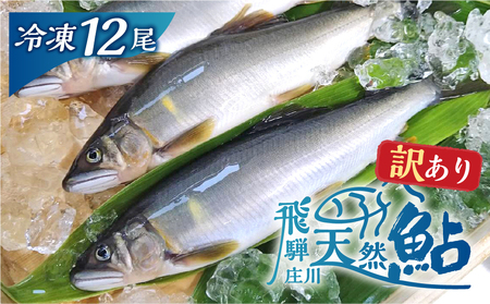 白川村産 飛騨庄川の天然鮎 12尾 18cm以上 訳あり 訳アリ 鮎 天然 あゆ 魚 川魚 岐阜県 白川郷 世界遺産 塩焼き BBQ 20000円 [S596]