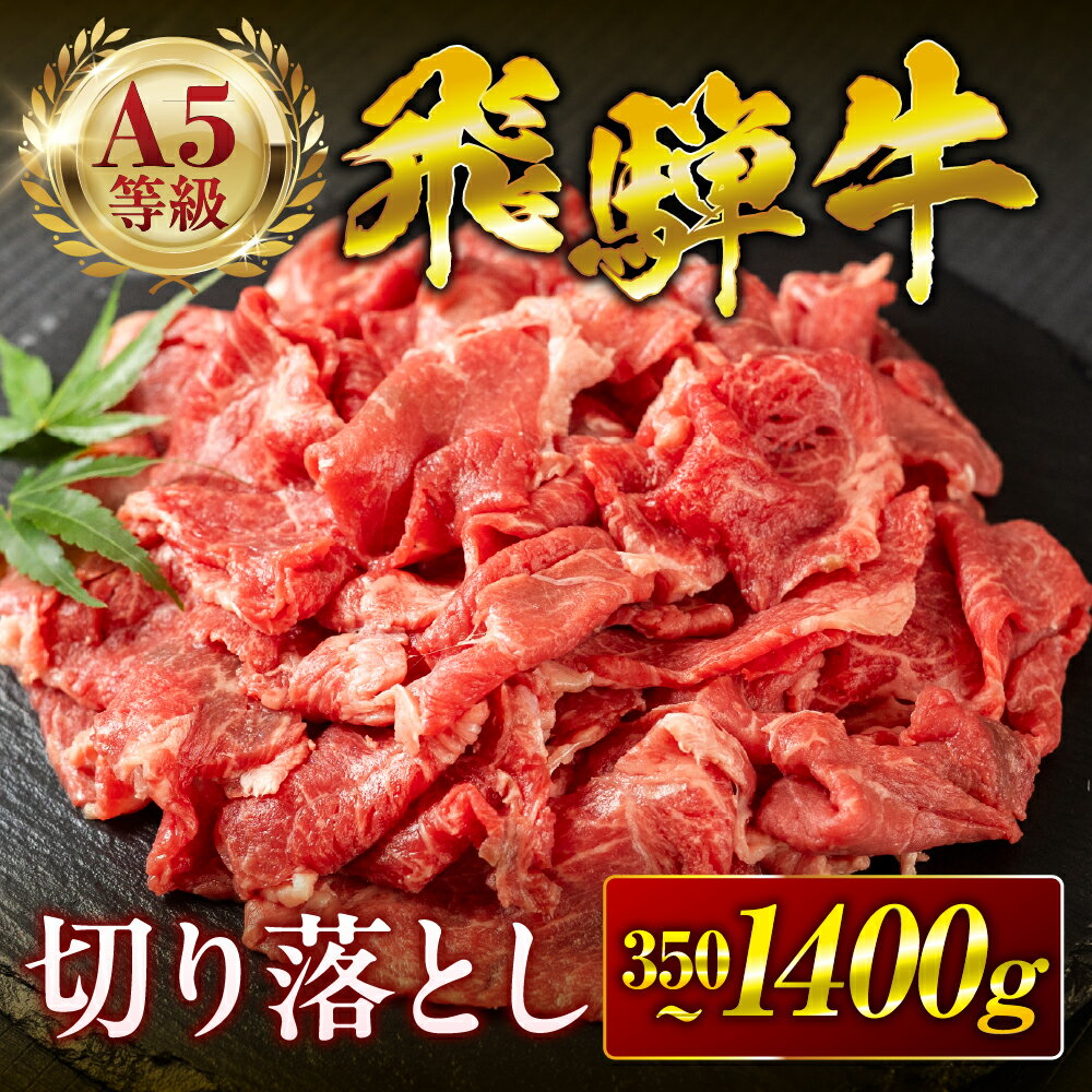 【ふるさと納税】飛騨牛 A5 ちょっと良い 切り落とし ≪選べる≫350g 700g 1050g 1400g 1kg 1.4kg すき焼き 定期便 3回 6回 12回 訳あり 不揃い 小間切れ 牛肉 肉 黒毛和牛 国産 厳選 高級 冷凍 10000円 1万円 中部ミート 岐阜県 大垣市