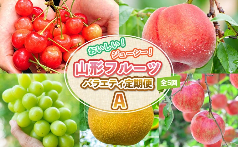 
                  【定期便5回】おいしい！ジューシー！山形フルーツ バラエティ定期便Ａ FY26-216
                