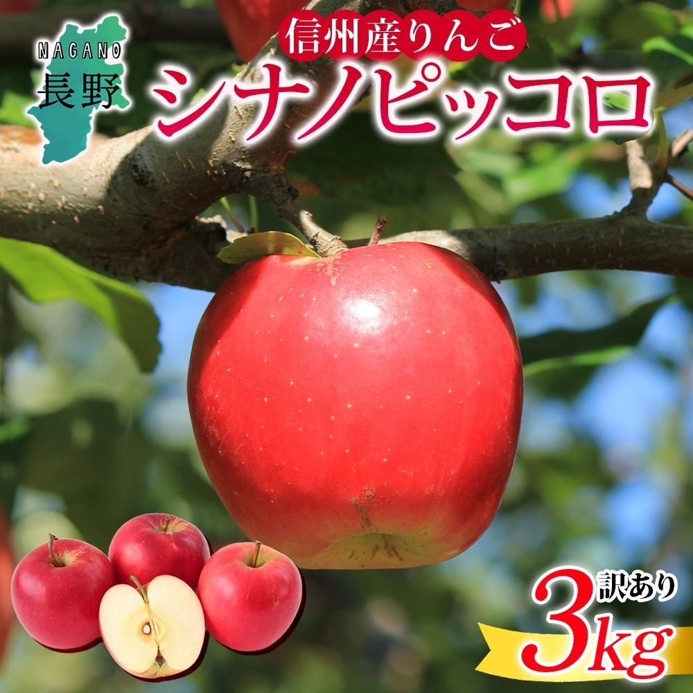 【ふるさと納税】＜26年発送 先行予約＞長野県産 りんご シナノピッコロ 訳あり 約3kg リンゴ 旬 フルーツ 訳アリ 林檎 果物 規格外 自家用 産地直送 農園 産直 お取り寄せ もぎたて 採れたて 送料無料 堀田農園 信州 大町市