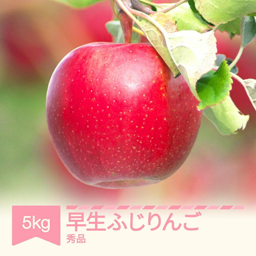 【ふるさと納税】【先行予約】 早生ふじりんご 秀品 約5kg りんご 令和8年産 2026年産 果物 ※沖縄・離島への配送不可 sb-riwfx5