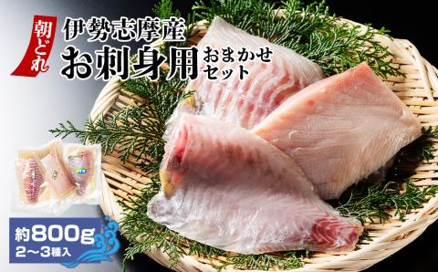 （冷蔵） お刺身 おまかせ セット ２ ～ ３種 約 800ｇ 城水産 朝どれ 刺身 刺し身 鯛 タイ 鰤 ブリ 鮪 マグロ 平昌 ヒラマサ 勘八 カンパチ シマアジ ヒラメ 新鮮 魚 魚介 海鮮 産地直送 国産 三重 南伊勢 伊勢志摩