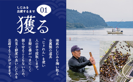 【 3ヵ月定期便 】砂抜き済みで手間いらず！冷凍・小川原湖産大和しじみ1kg（250g×4袋）【02408-0089】