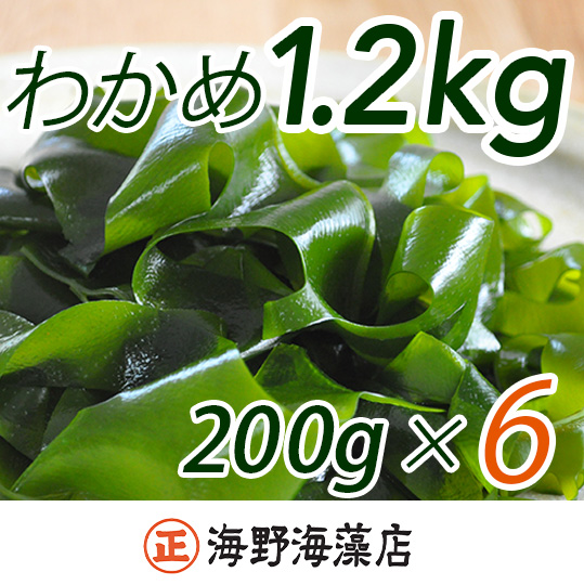 しゃきしゃき 湯通し塩蔵わかめ 1.2kg （200g×6パック） 国産 三陸産 海野海藻店 わかめ 塩蔵わかめ 湯通し不要