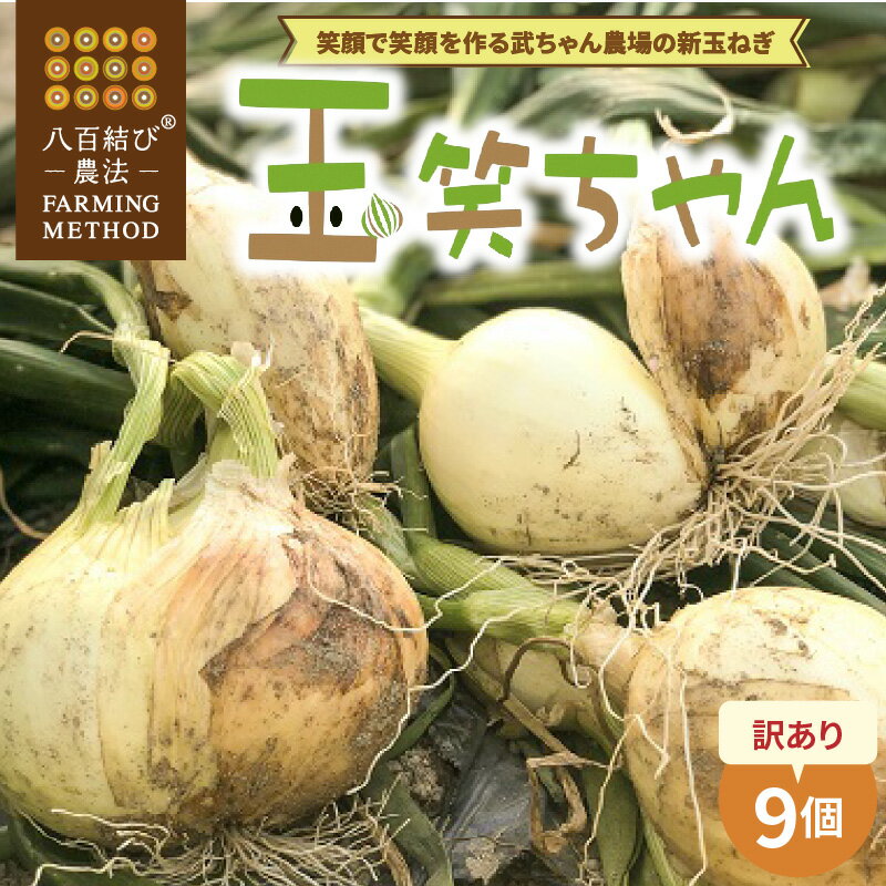 【ふるさと納税】 食品ロス削減 新玉ねぎ 玉笑ちゃん 9個 玉ねぎ 玉葱 タマネギ オニオン 常備野菜 保存野菜 オニオンスープ 愛知県 碧南市 産地直送 送料無料