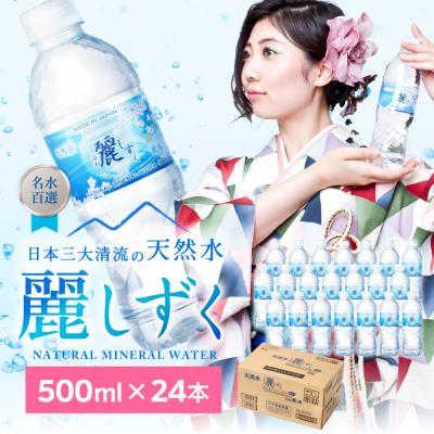 ふるさと納税 関市 麗しずく(500ml×24本)ペットボトル 天然水 飲料水 ミネラルウォーター S8-12