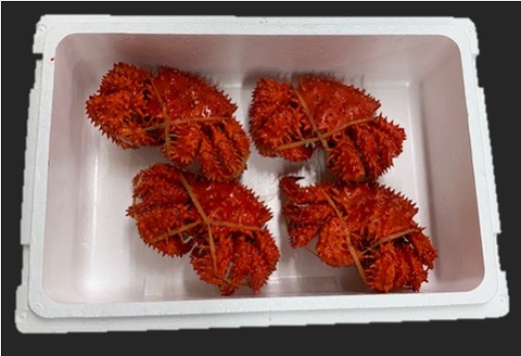 【北海道根室産】花咲がに姿350～450g×4尾 A-01041