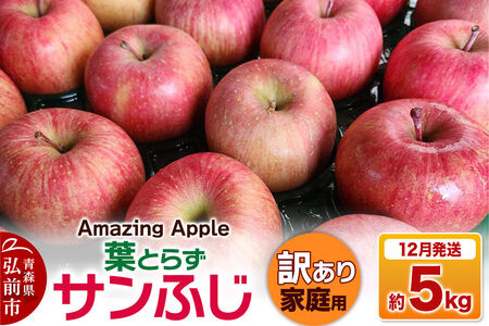 【26年12月発送】りんご 葉とらずサンふじ【訳あり】家庭用 約5kg