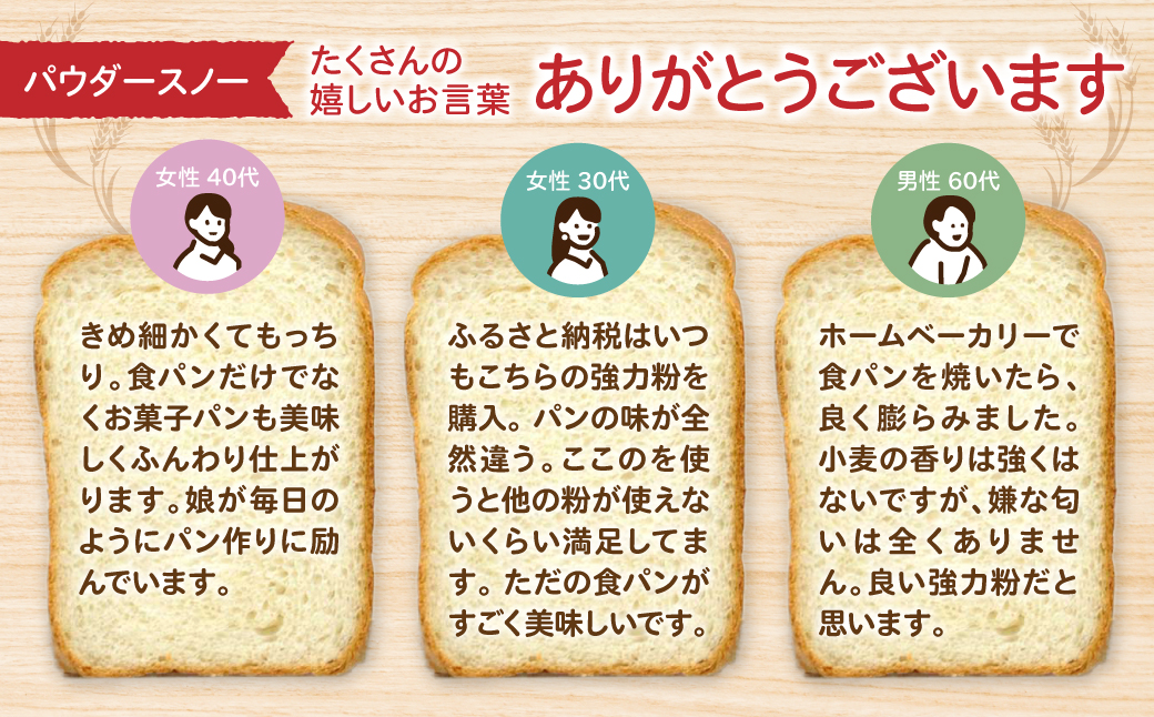 【毎月定期便】北海道産 「春よ恋」「ゆめちから」ブレンド小麦粉 パウダースノー（パン用強力粉）2.5kg 全4回 MROBI042