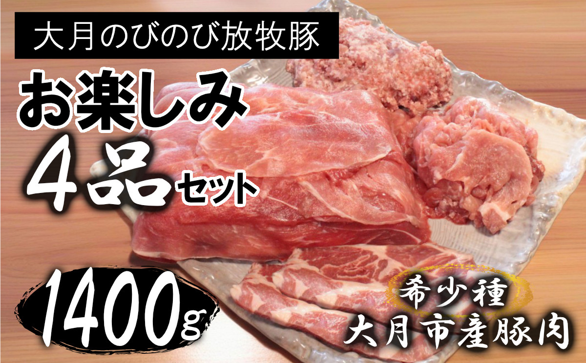 
大月のびのび放牧豚【お楽しみ4品セット】肩ロース150g×2モモ300g切落し300gひき肉500g
