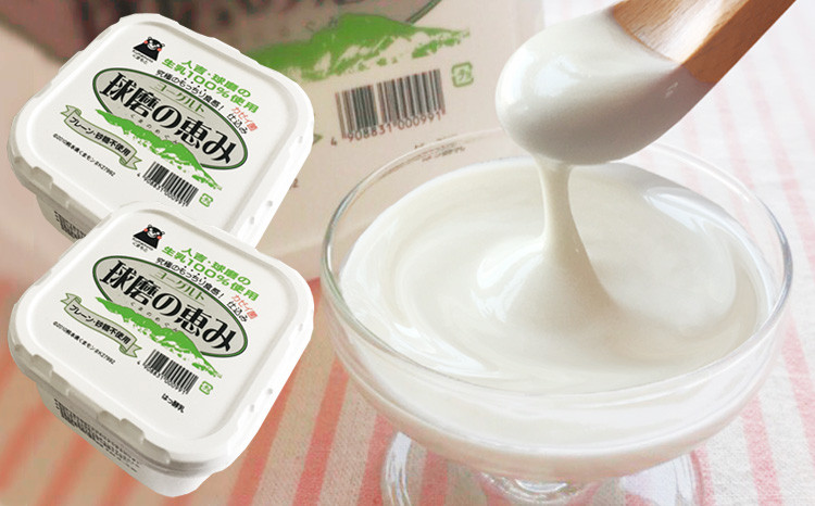 特選牛乳・球磨の恵みヨーグルト(砂糖不使用1kg×2)セット【牛乳900ml：賞味期限　到着後6日】