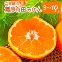 【ふるさと納税】農園直送！濃厚有田みかん　容量・配送時期が選べる！※2024年11月上旬～2024年12月下旬頃（順次発送予定）（お届け日指定不可）※北海道・沖縄・離島配送不可 / 和歌山 ミカン オレンジ 柑橘 フルーツ 果物 ブランド 旬