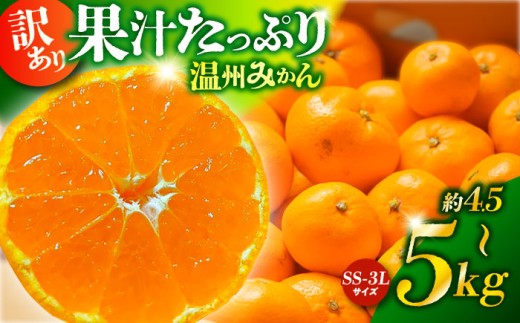 【訳あり】みかん 家庭用 温州 ミカン 約4.5～5kg 【合同会社 福福堂】 温州みかん 果物 九州 国産 柑橘 おいしい フルーツ 旬 甘い 限定 温州 お取り寄せ 熊本 [ZCN014]