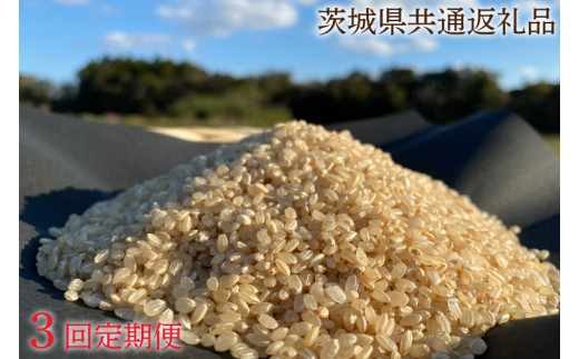 3ヶ月定期便【栽培期間農薬不使用】こしひかり 玄米5kg×3回【茨城県共通返礼品・行方市産】（KBE-43）