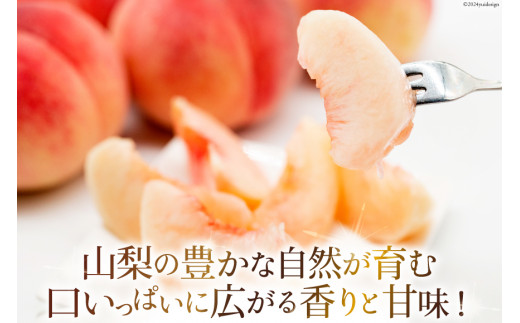 山梨県産 桃 約 3kg