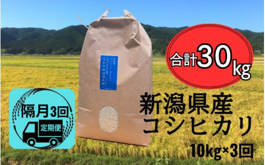 【先行予約】新米〈隔月3回定期便〉 令和6年産 五泉産 コシヒカリ 精米 10kg (10kg×1袋) 新潟県 五泉市 株式会社蛇場農産（2024年10月上旬以降順次発送）