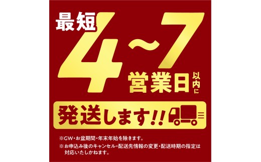 北海道ビーフハンバーグ（150g×10）穴のあいたビーフハンバーグ